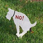 Теперь официально владельцы питомцев должны убирать за ними на улице