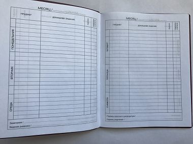 Дневник школьника в прорезиненной обложке премиум класса 