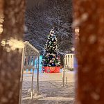 Каждый вечер в Беличьем парке особенный