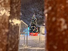 Каждый вечер в Беличьем парке особенный