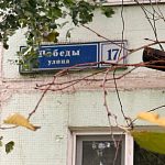 Дерево упало на автомобиль — Краснознаменск