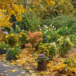 Активно проходит голосование за «Лучший двор» III Всероссийского конкурса лучших практик управления многоквартирными домами