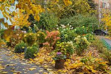 Активно проходит голосование за «Лучший двор» III Всероссийского конкурса лучших практик управления многоквартирными домами