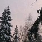 Городской парк