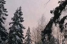 Городской парк