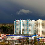 В районе Связистов животное мучается. Хозяева, вы это серьезно?!