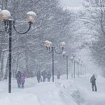 Прогулка по Комсомольскому бульвару в течение года