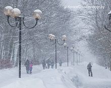 Прогулка по Комсомольскому бульвару в течение года
