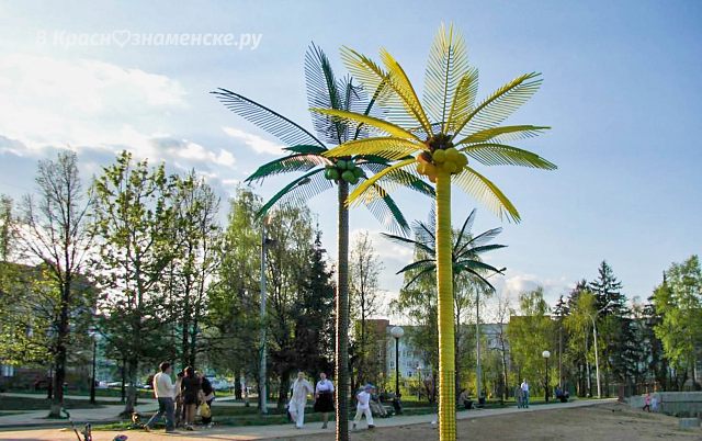 Пальмы на старом озере