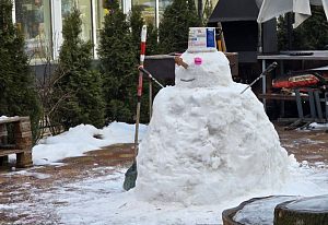 Выживший! ⛄️