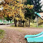 Осенний Краснознаменск 2021-2026 гг