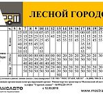 Идея организации маршрута до станции D4 Лесной городок 