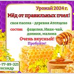 Домашний мед со своей пасеки в Подмосковье