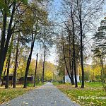 Прогулка по Беличьему парку — Краснознаменск