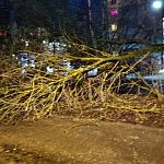 Последствия сильного ветра в Краснознаменске