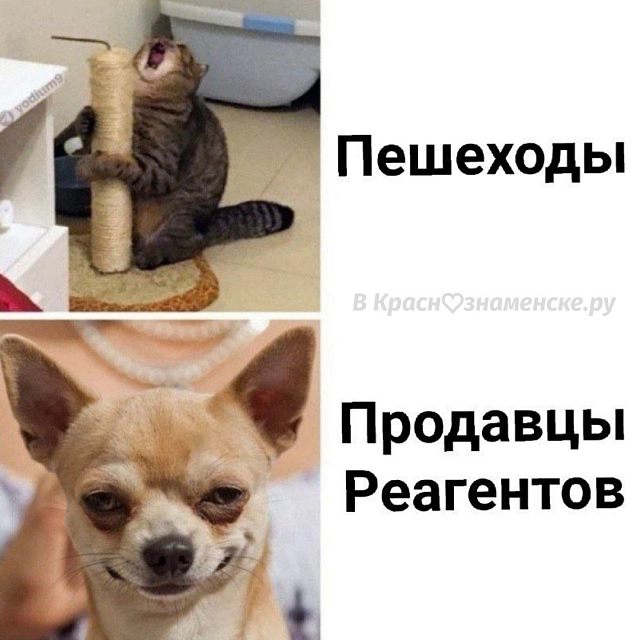 Юмор