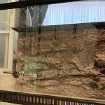 Террариум для рептилий — Краснознаменск