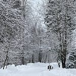 Прогулка по Городскому парку в течение года