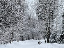 Прогулка по Городскому парку в течение года