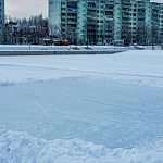 Какой каток лучше?