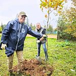 Сегодня коллектив Парков Краснознаменска присоединился к Всероссийской акции СохраниЛес