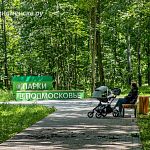 Парк Городской и парк Беличий закрываются из-за погодных условий.