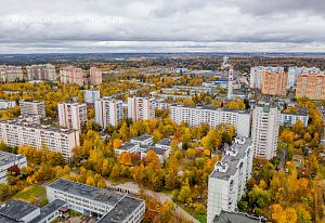 Золотая осень