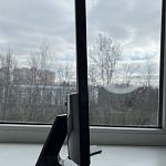 Монитор LG