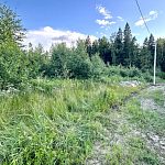 Продам, 9 соток, Садовый — Краснознаменск
