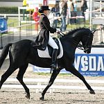 Занятия верховой ездой