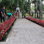 Высадка цветов в парке Беличий