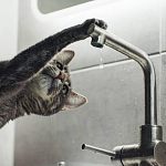 С субботы сидим без холодной воды