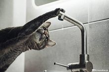 С субботы сидим без холодной воды