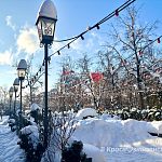 Под сиянием солнца зимняя сказка оживает