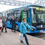 1442 — х автобусов придется подождать