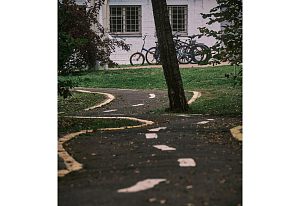 Велосипеды спрятались за деревомДень | осень 25