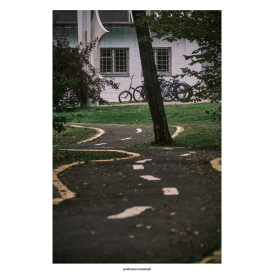 Велосипеды спрятались за деревомДень | осень 25