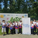 Сегодня финальный день голосования за формирование комфортной городской среды.