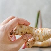 Корень галангала