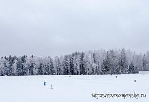 Вдоль нового озера проложена лыжня