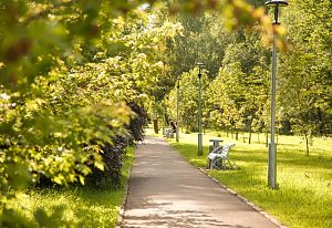 Утро в Городском парке 
