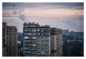 Туда зимой не прилетят снегири, там вороньёВечер