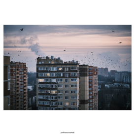 Туда зимой не прилетят снегири, там вороньёВечер