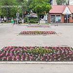 Город расцветает! На городских клумбах начали высаживать цветы