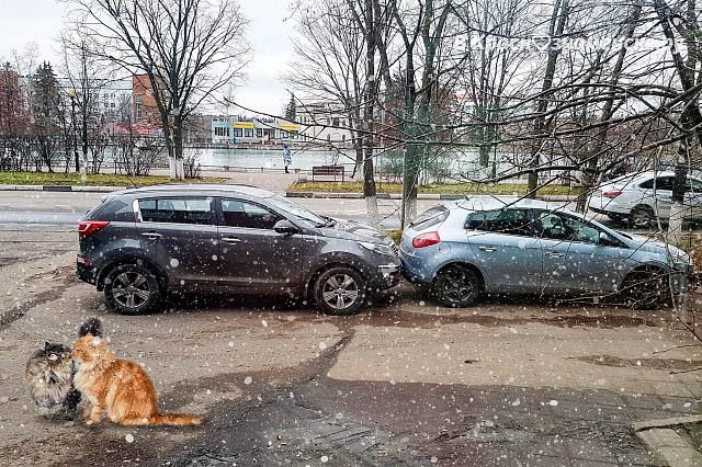Романтика в Краснознаменске 