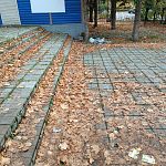 Мусор около магазина Чижик