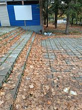 Мусор около магазина Чижик
