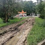 Приведите в порядок территорию вокруг детской площадки