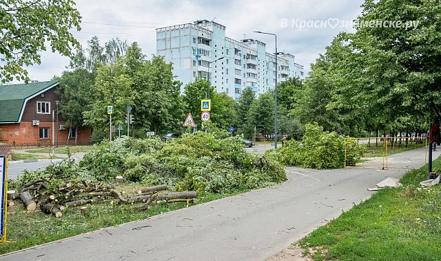 Вырубка деревьев на ул. Победы 