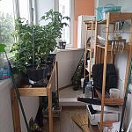 Продам, 89,2 кв.м, 3-комнатная — Краснознаменск